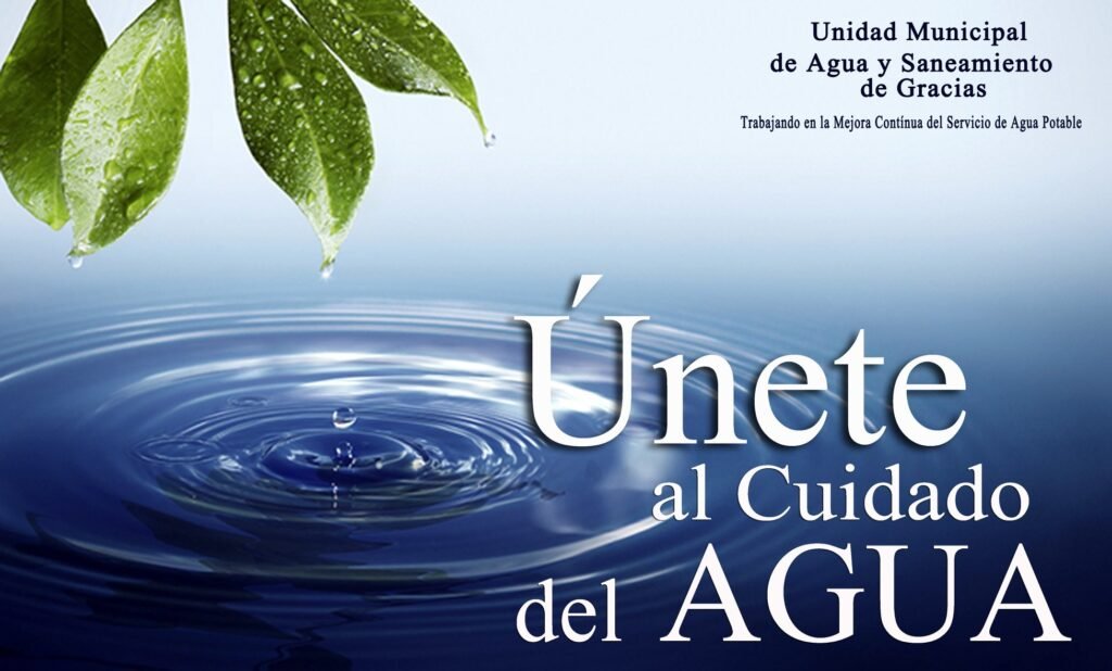 56806438 406762443213117 9007520423805452288 n