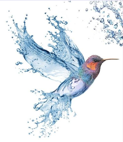 captura de pantalla 2025 11 07 120608