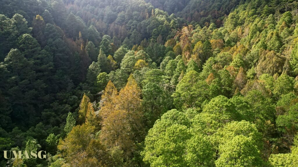 Parque Nacional Montaña de Celaque