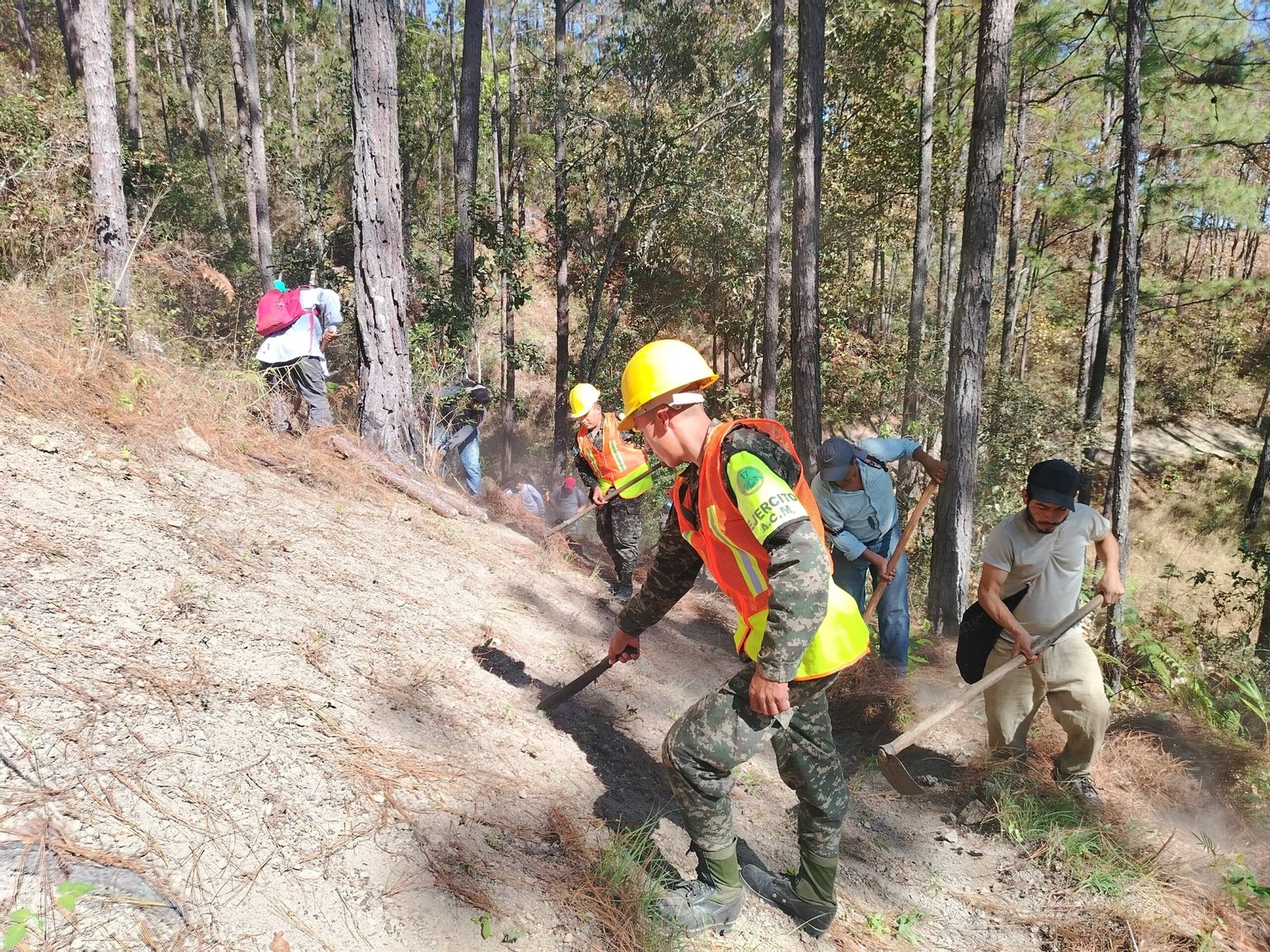 whatsapp image 2025 11 08 at 5.58.12 pm